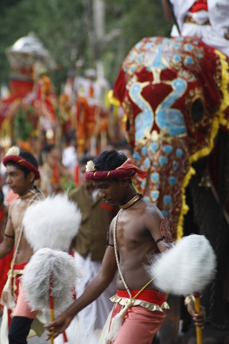 Sri Lanka — Buddha Tooth Relic celebration 37