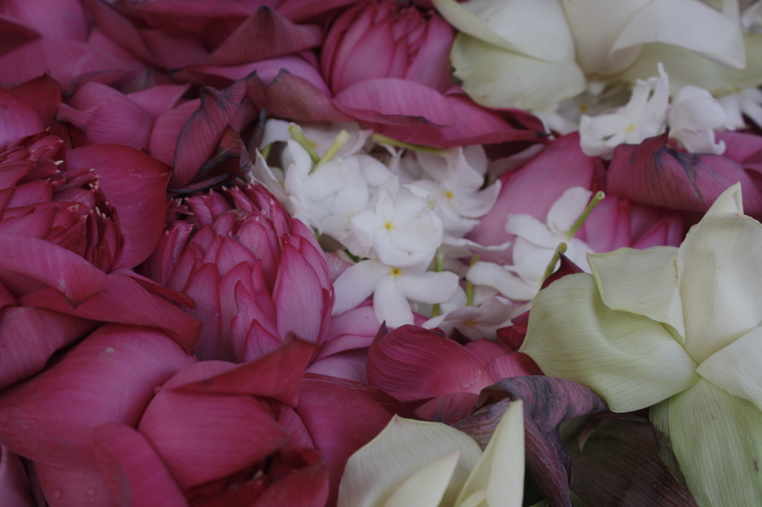 Sri Lanka — Buddha Tooth Relic celebration 41