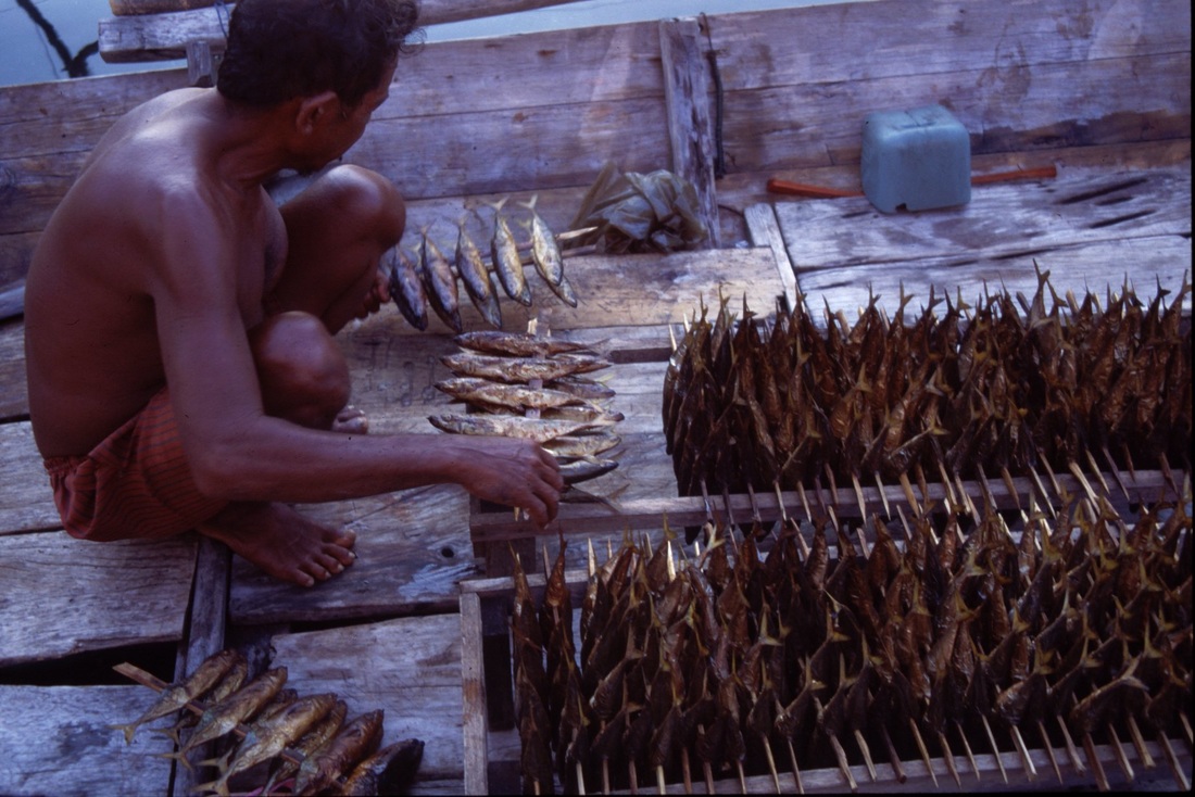 Sulawesi 9
