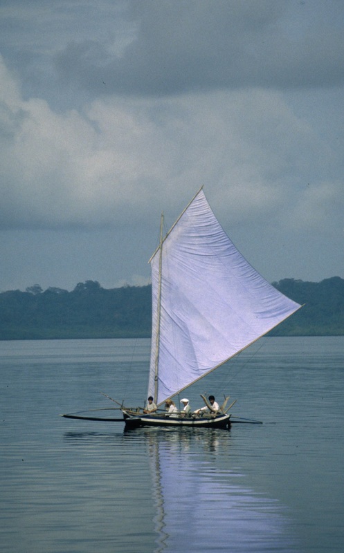 Sulawesi 11