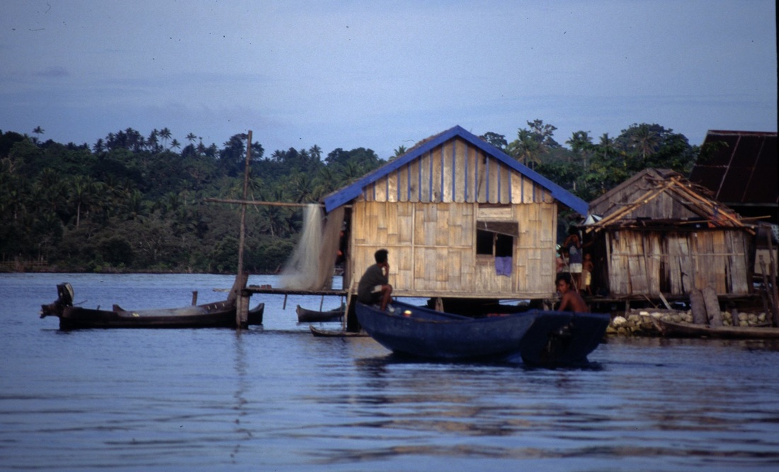 Sulawesi 23
