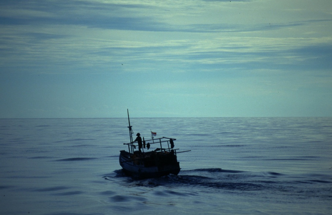 Sulawesi 28