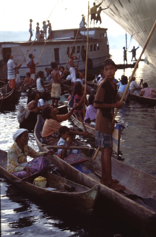 Sulawesi 36