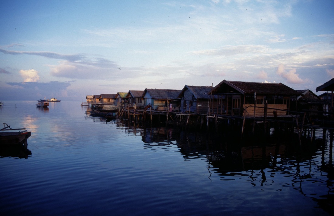 Sulawesi 41
