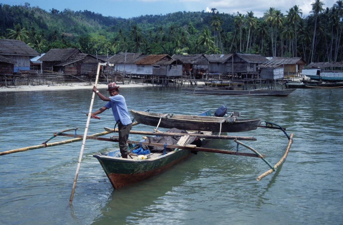 Sulawesi 46