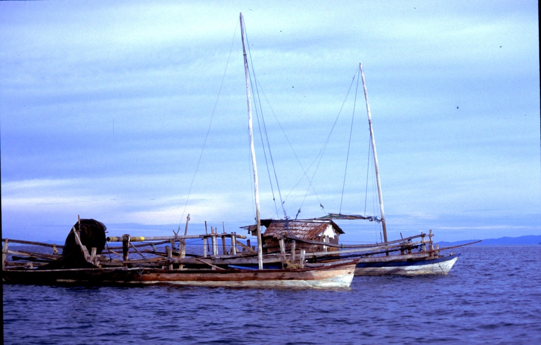 Sulawesi 52