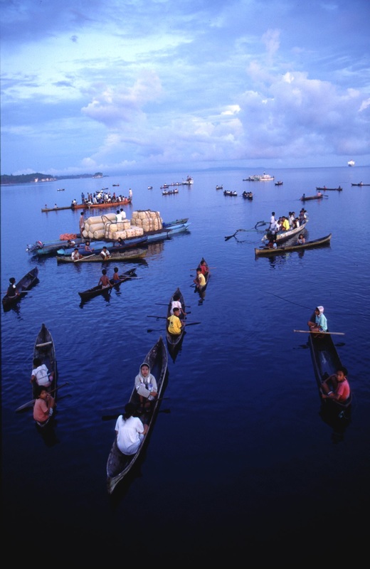 Sulawesi 55