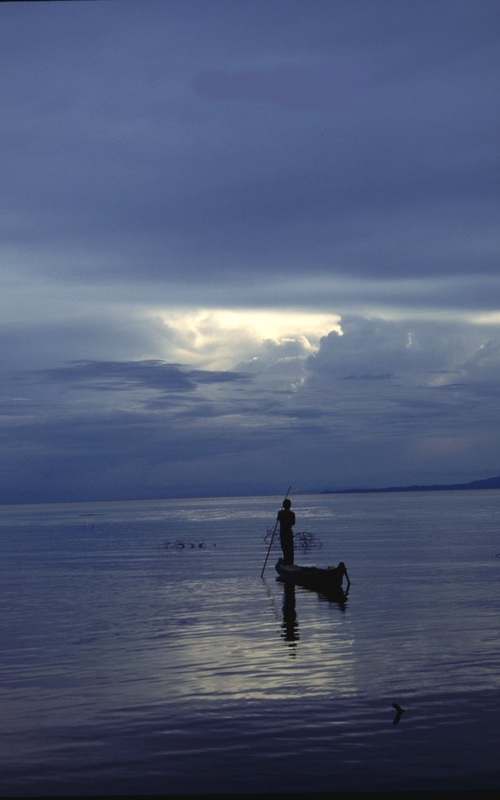 Sulawesi 62