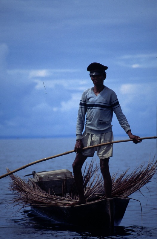 Sulawesi 65
