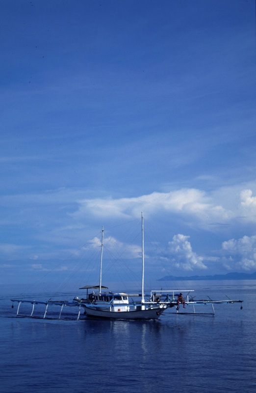 Sulawesi 71