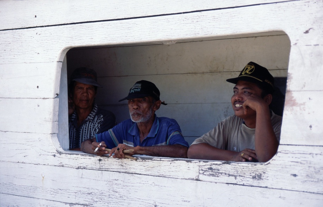 Sulawesi 73