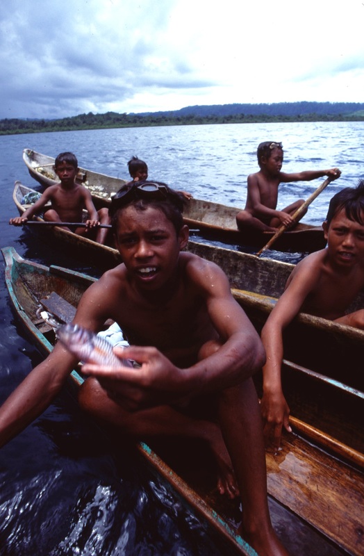 Sulawesi 76