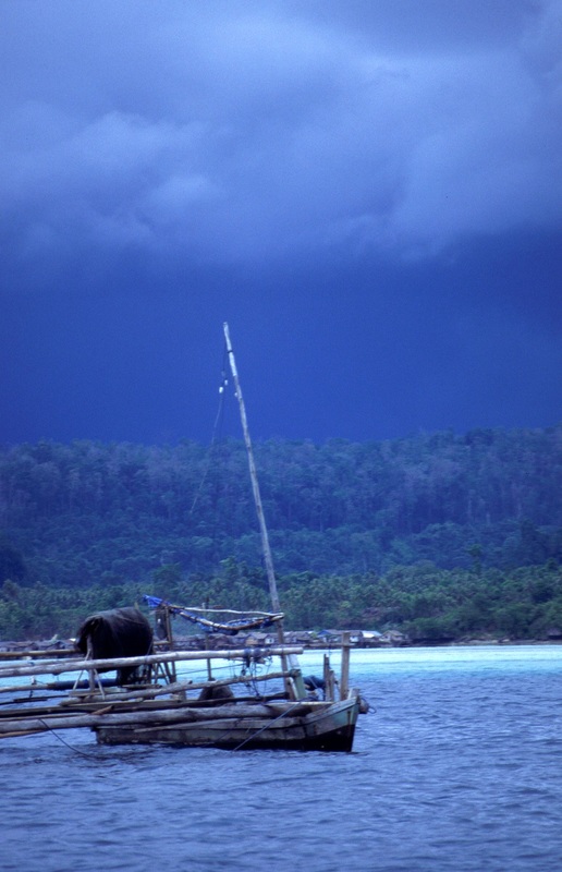 Sulawesi 78