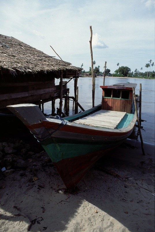Sulawesi 79