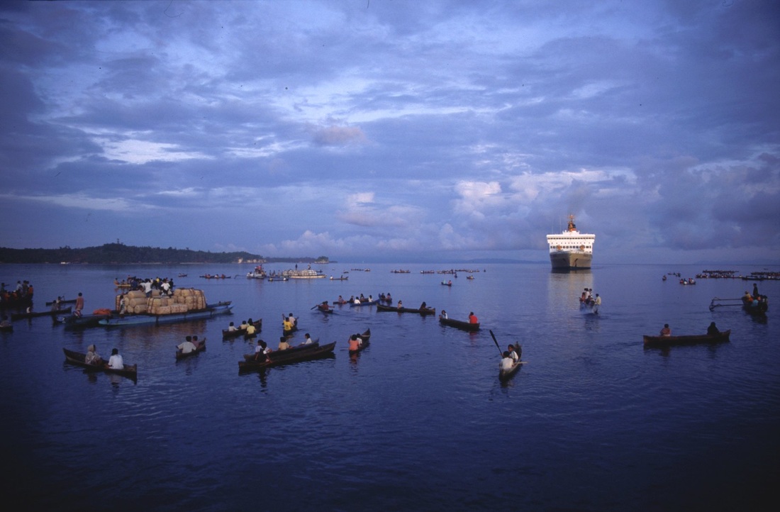 Sulawesi 82