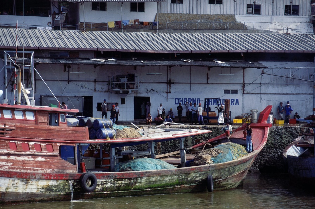Sulawesi 85