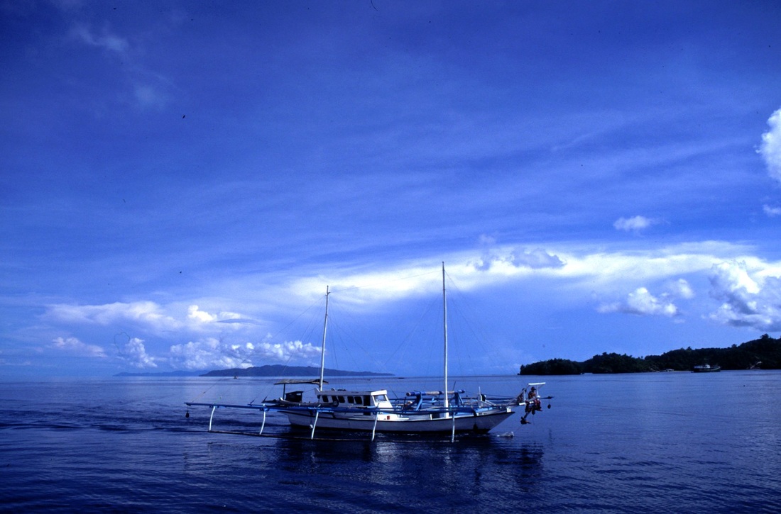 Sulawesi 88