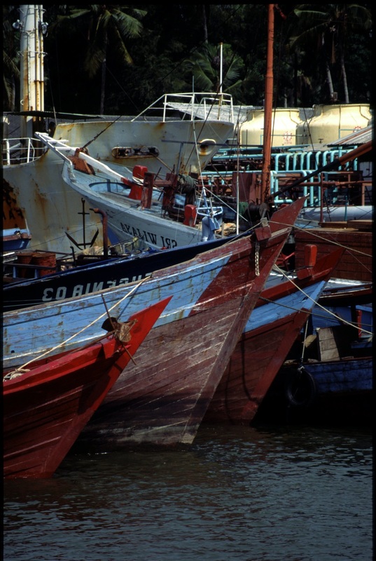 Sulawesi 89