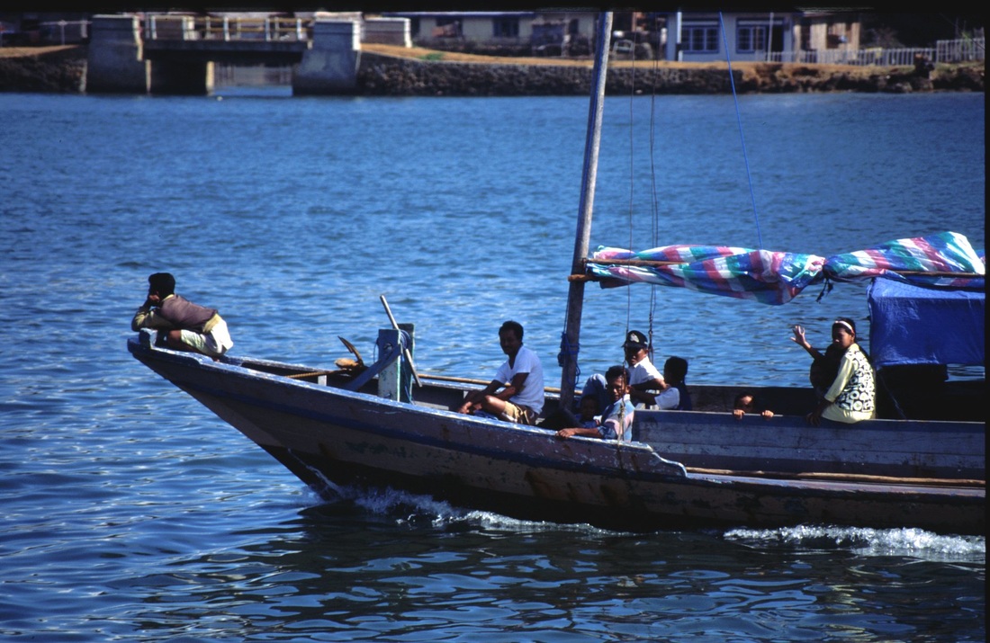 Sulawesi 91