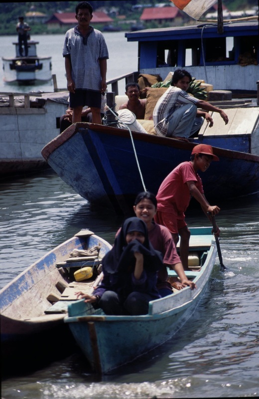 Sulawesi 95