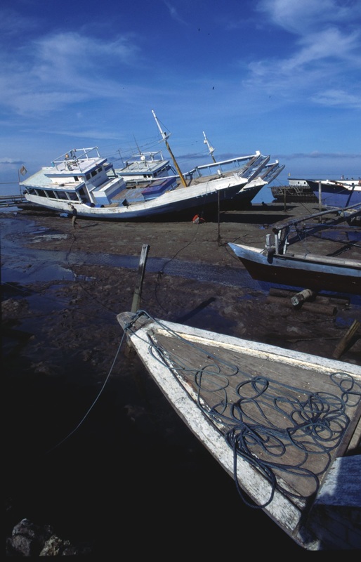 Sulawesi 97