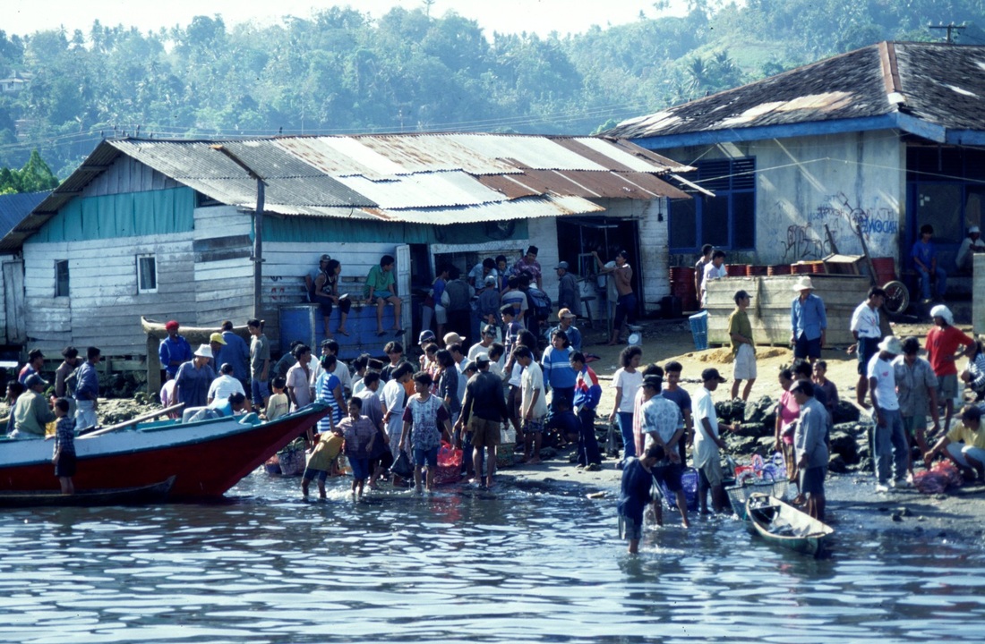 Sulawesi 99