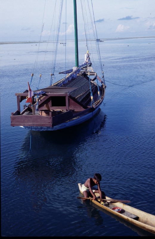 Sulawesi 133