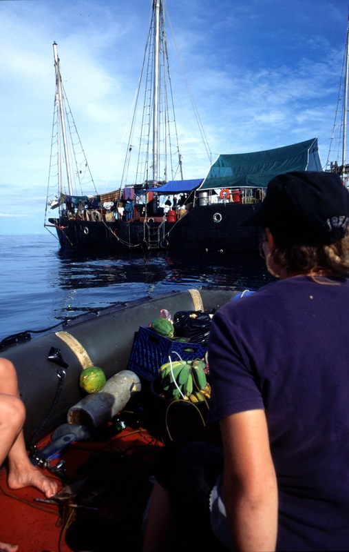 Sulawesi 135