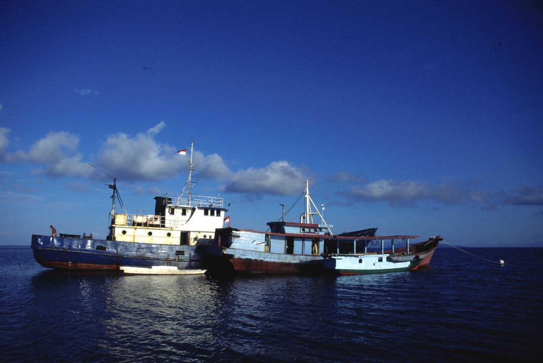 Sulawesi 146