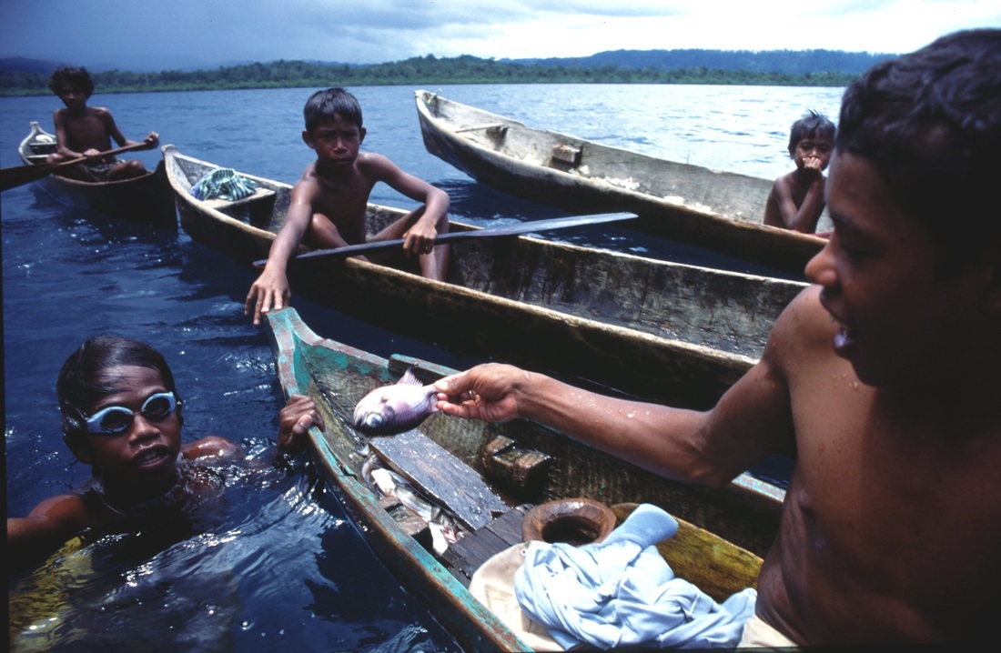 Sulawesi 163
