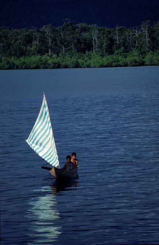 Sulawesi 167