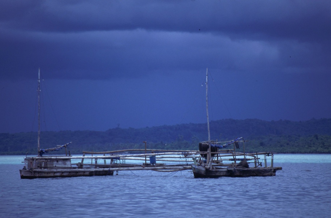 Sulawesi 169