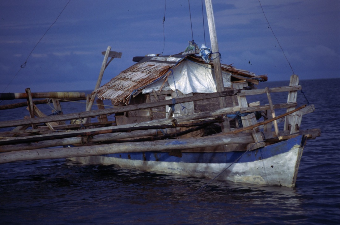 Sulawesi 172