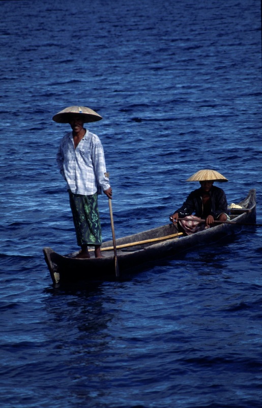 Sulawesi 173