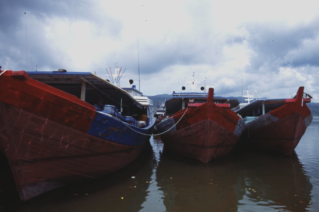Sulawesi 175
