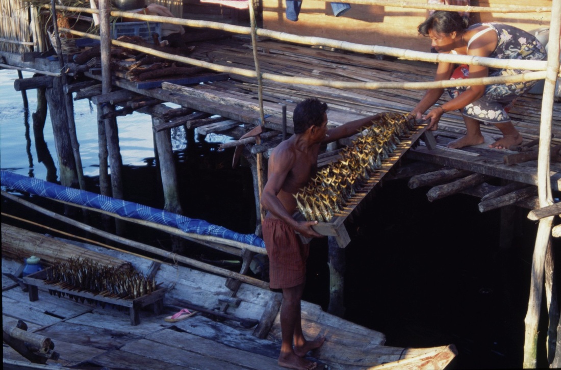 Sulawesi 182