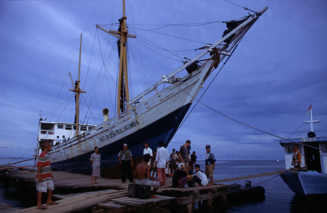 Sulawesi 184