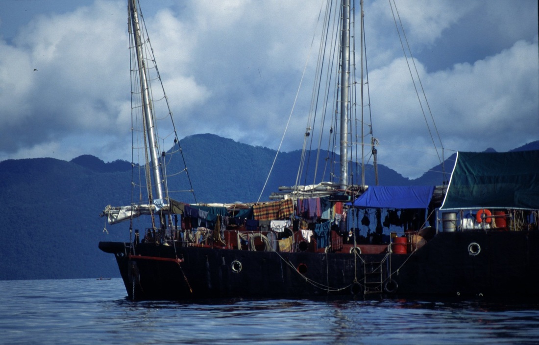 Sulawesi 186