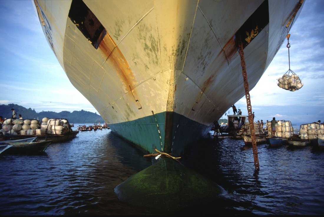 Sulawesi 195