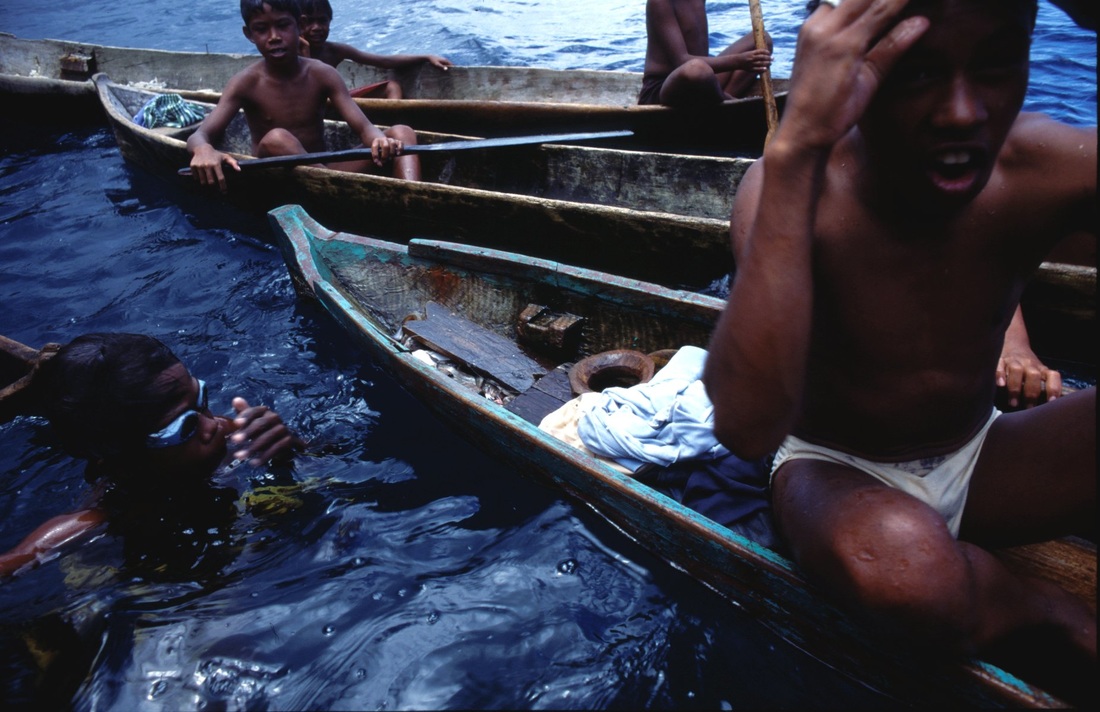 Sulawesi 199
