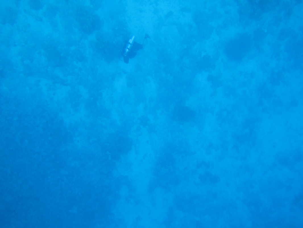 Bawah Underwater 92