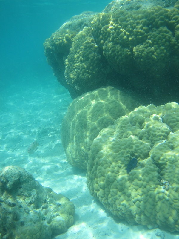 Bawah Underwater 126