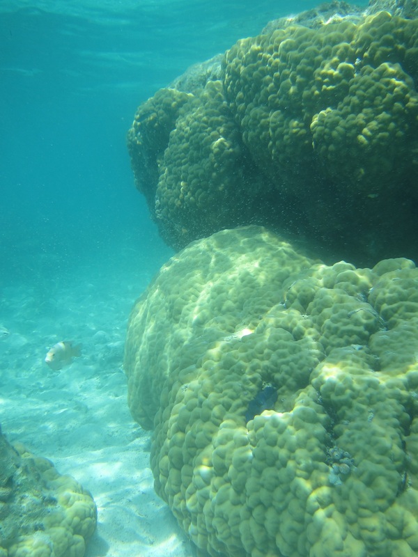 Bawah Underwater 127