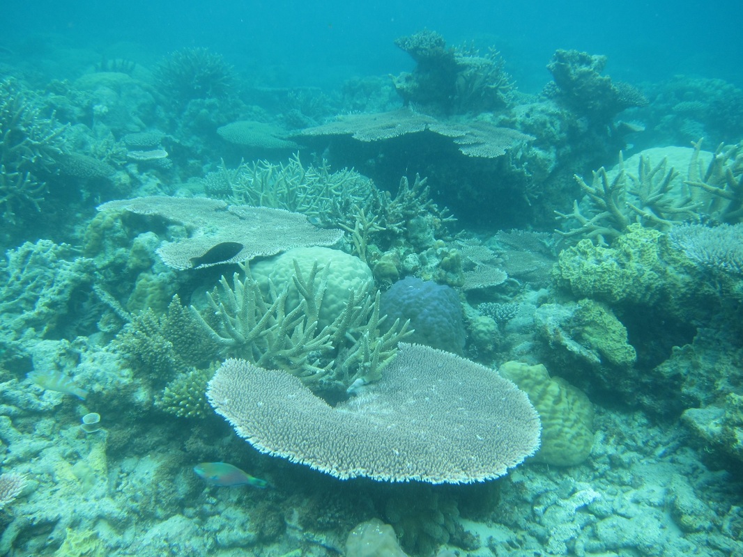 Bawah Underwater 134