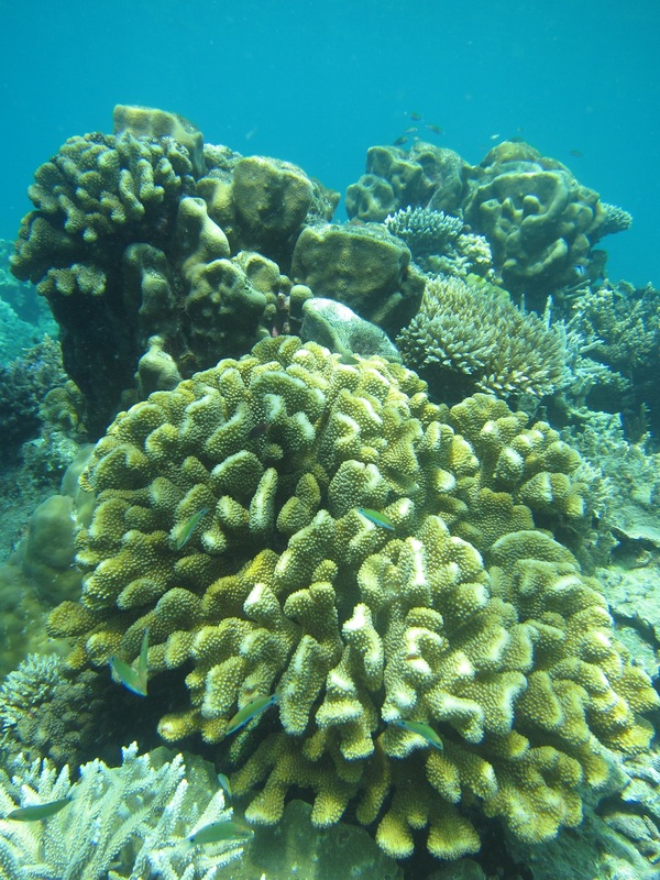 Bawah Underwater 180