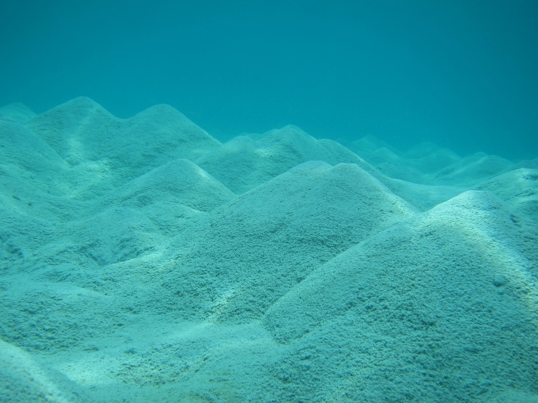 Bawah Underwater 267