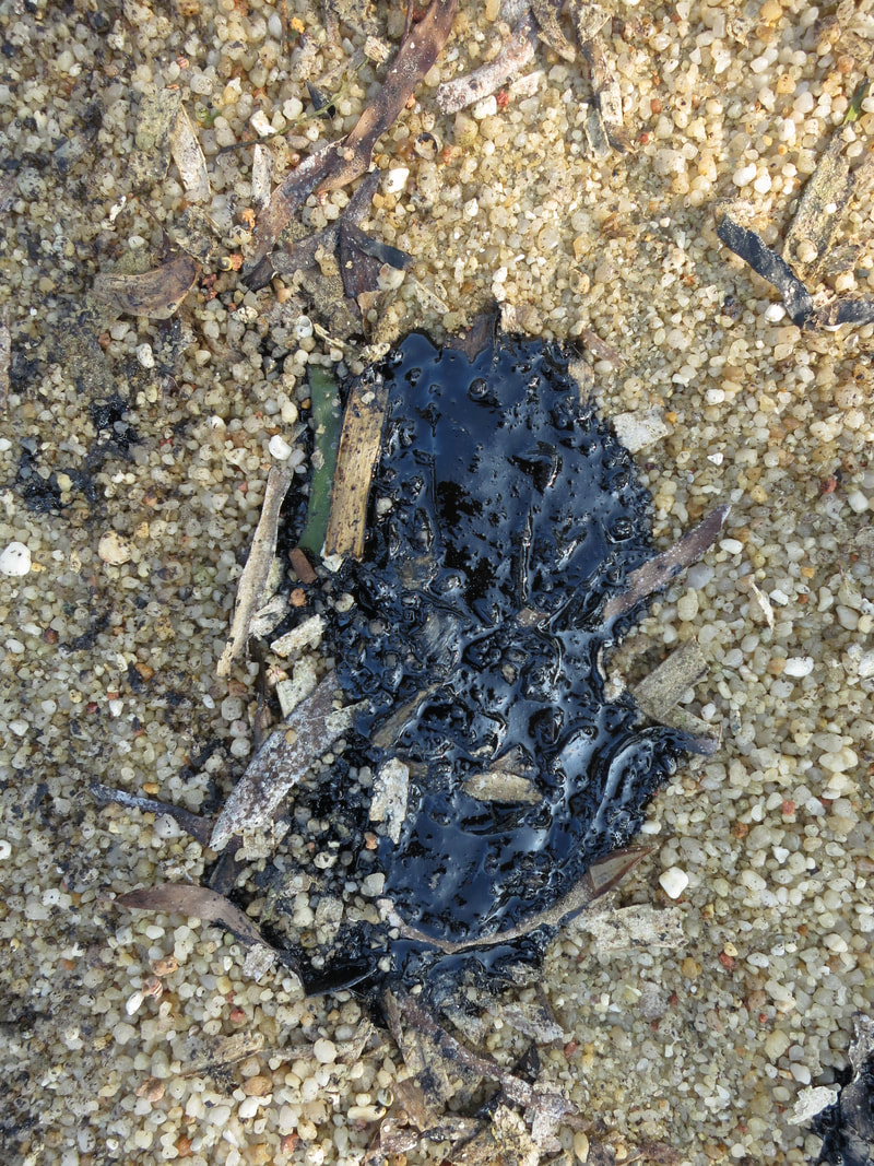 Conservation Work 21