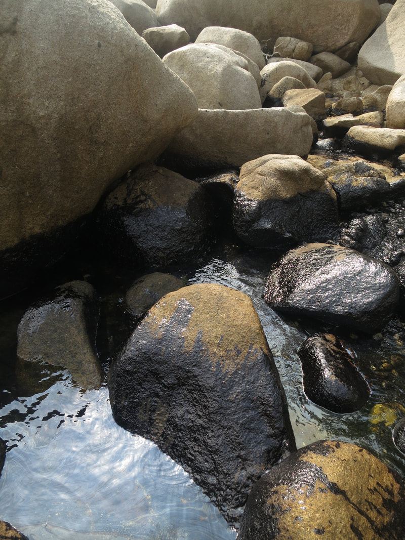 Conservation Work 25