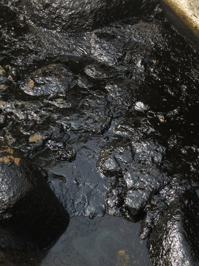 Conservation Work 26