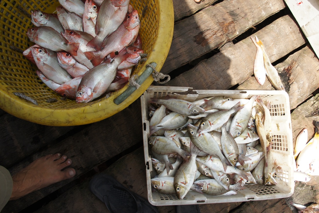 Orang Laut — Sea People 52